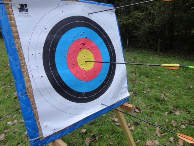  Archery in Hawk Adventures